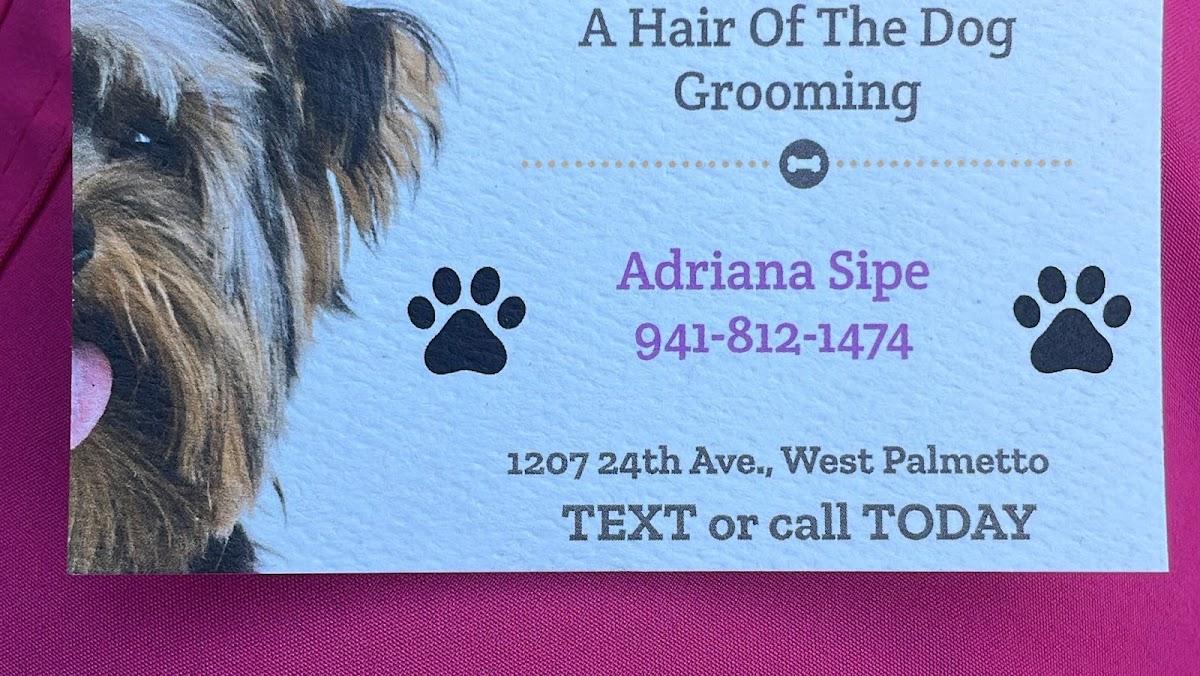 A Hair of the Dog Grooming