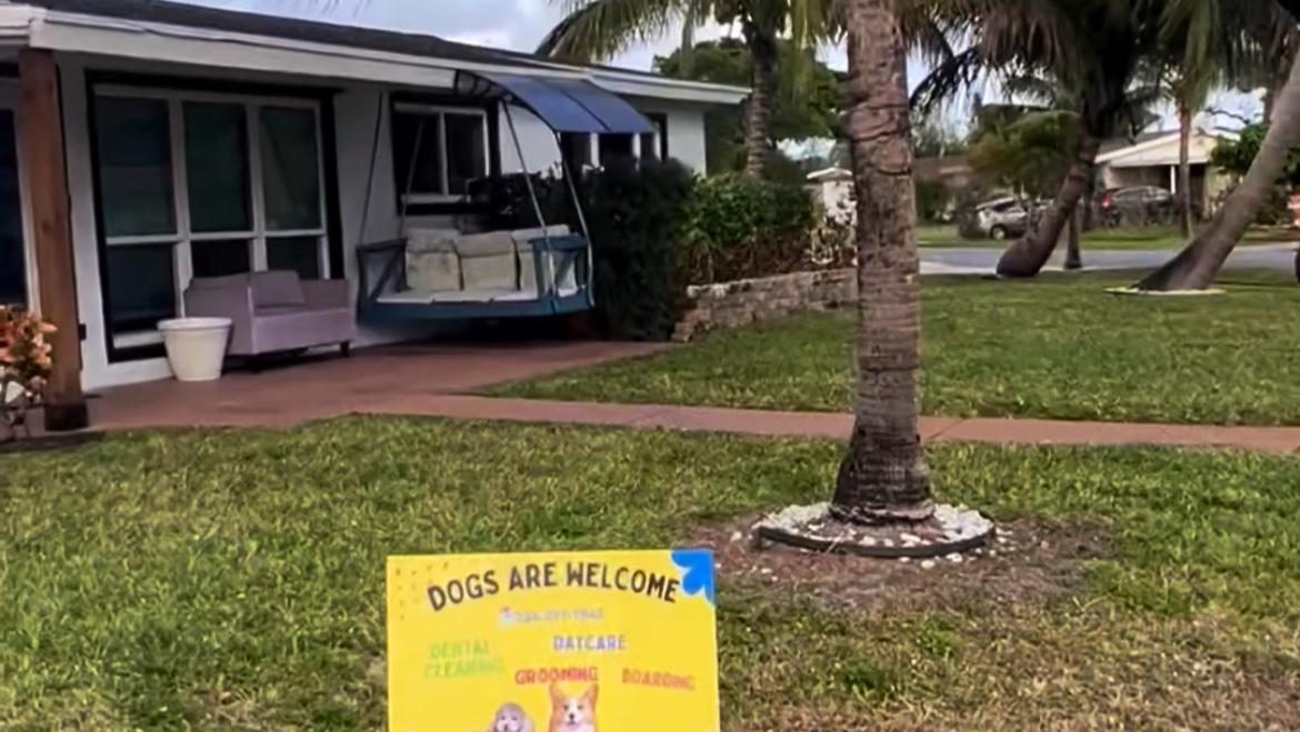 Lolita Colitas - Dog boarding/daycare Fort Lauderdale