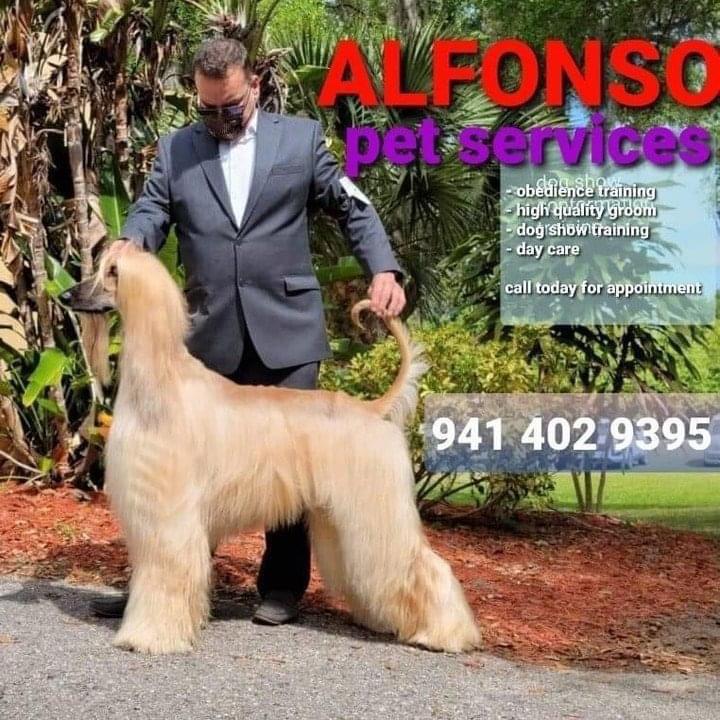 ALFONSO’S DOG MOBILE GROOMING